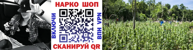 Где купить Дятьково Амфетамин Меф ГАШ MEGA ссылка A-PVP Бошки Шишки