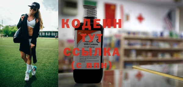 крисы Вязьма