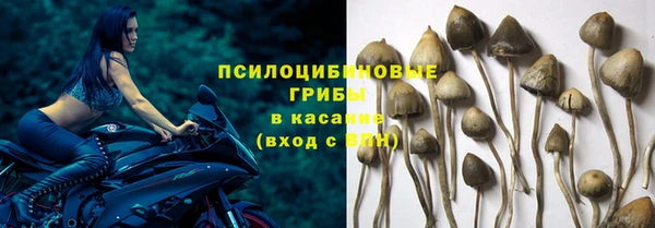 мдпв Гусиноозёрск
