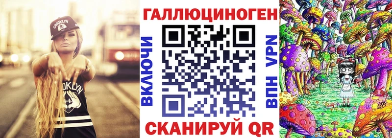 Галлюциногенные грибы Psilocybine cubensis гидра tor Дятьково хочу